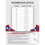 Борцовки для Самбо Рэй-Спорт КОМБИ